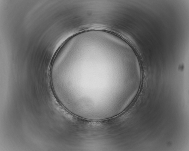 X0000114201190200910231336