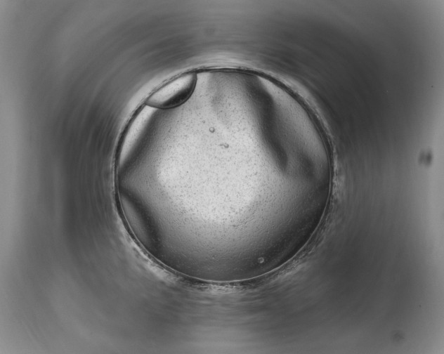 X0000114201191200910231336