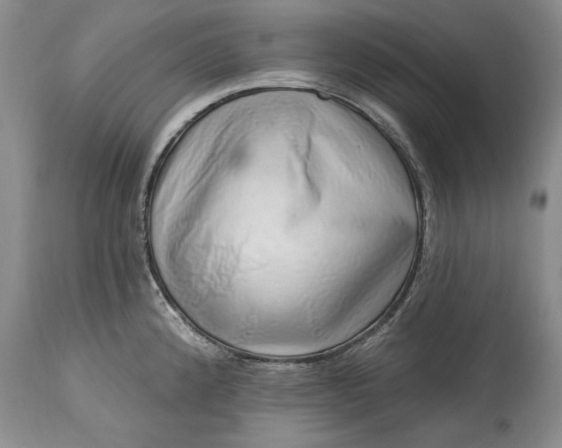 X0000114201192200910231336