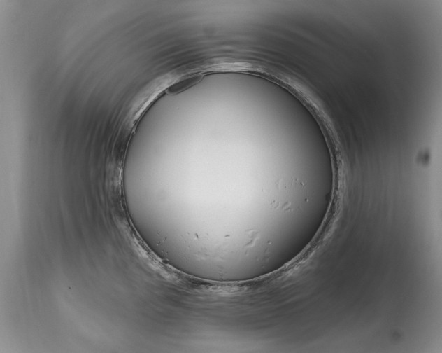 X0000114201193200910231336