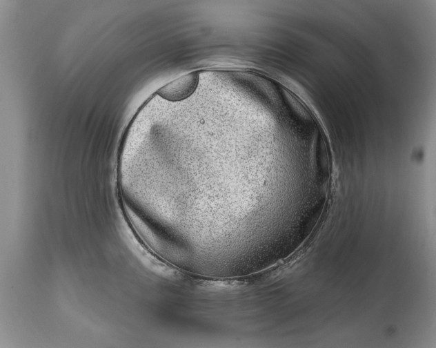 X0000114201195200910231336