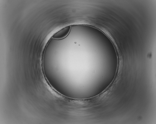 X0000114201197200910231336