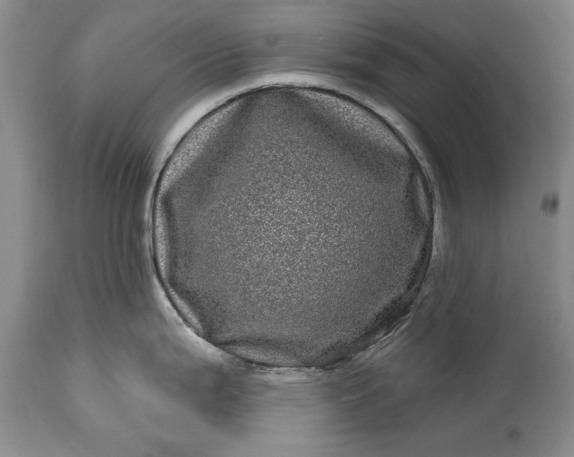 X0000114201199200910231336