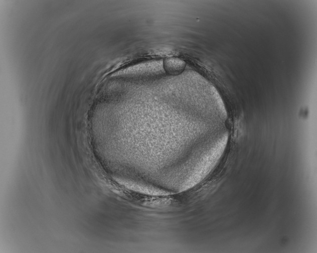 X0000114201201200910231335