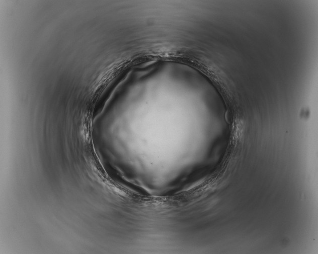 X0000114201202200910231335