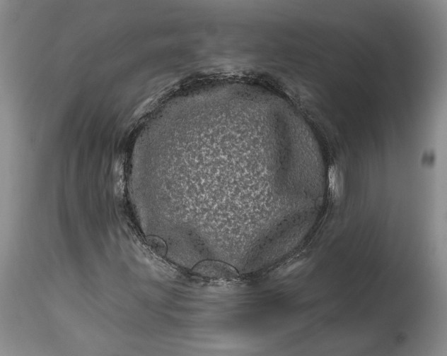 X0000114201203200910231335