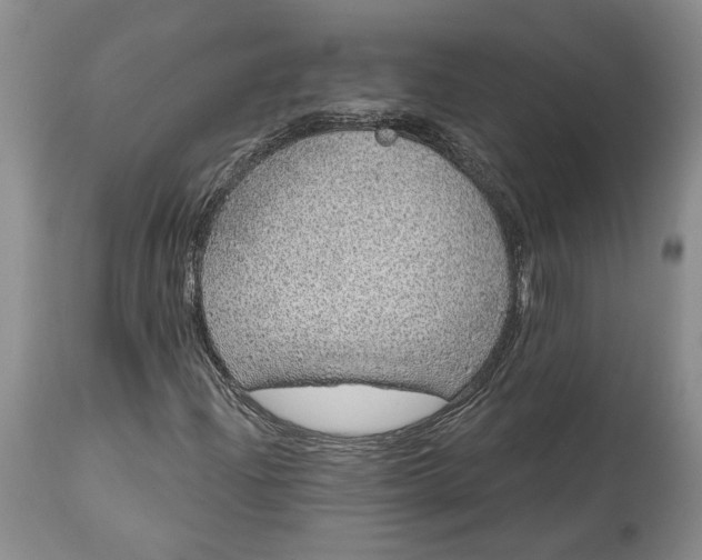 X0000114201204200910231335