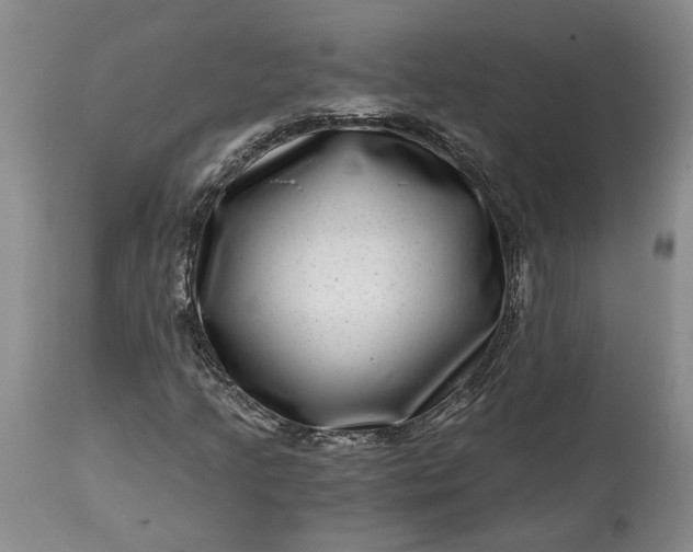 X0000114201205200910231335