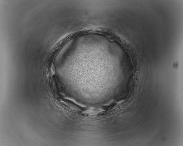 X0000114201206200910231335