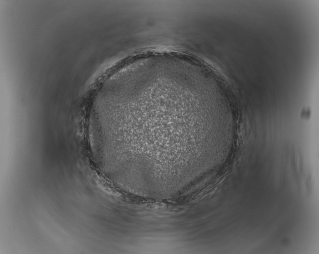 X0000114201207200910231336