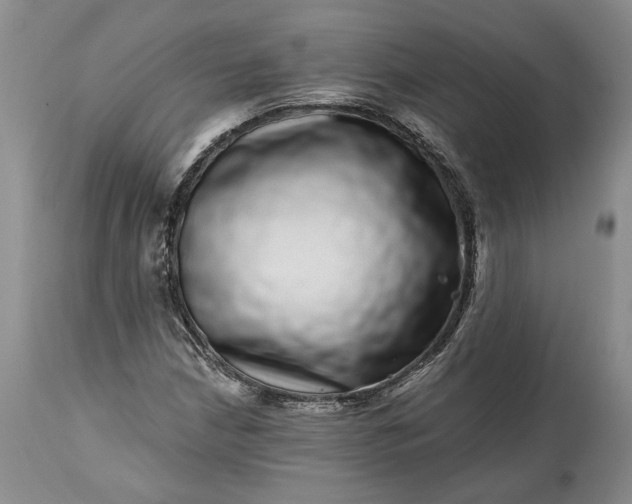 X0000114201210200910231336