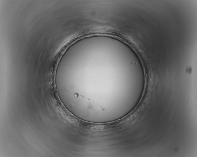 X0000114201211200910231336