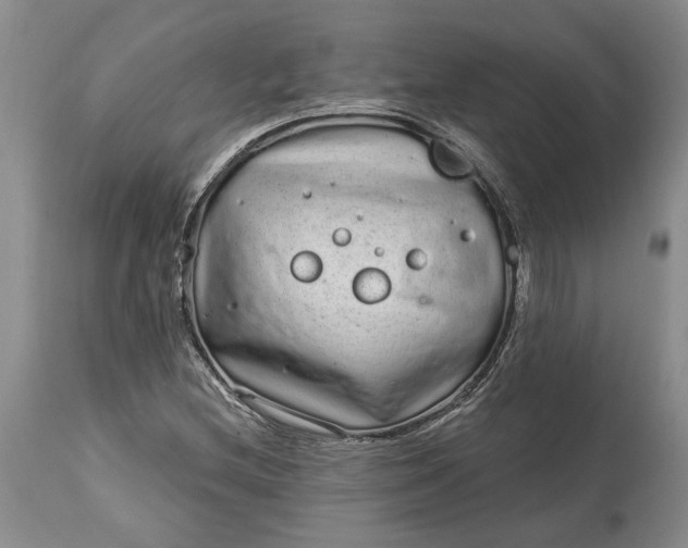 X0000114201212200910231336