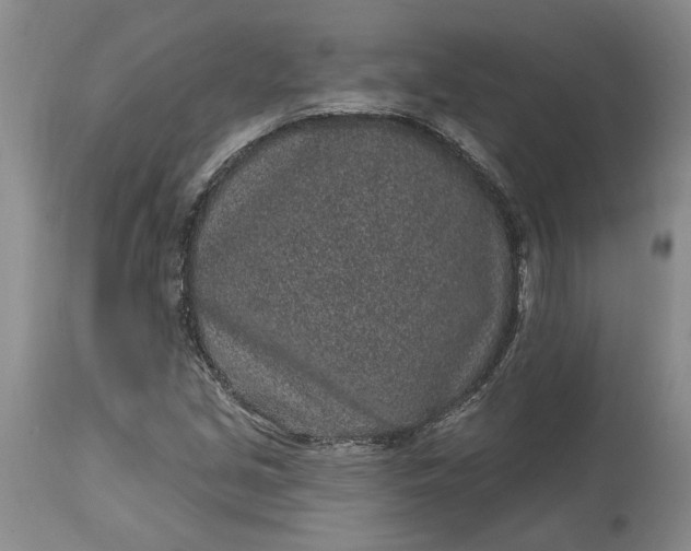 X0000114201213200910231336