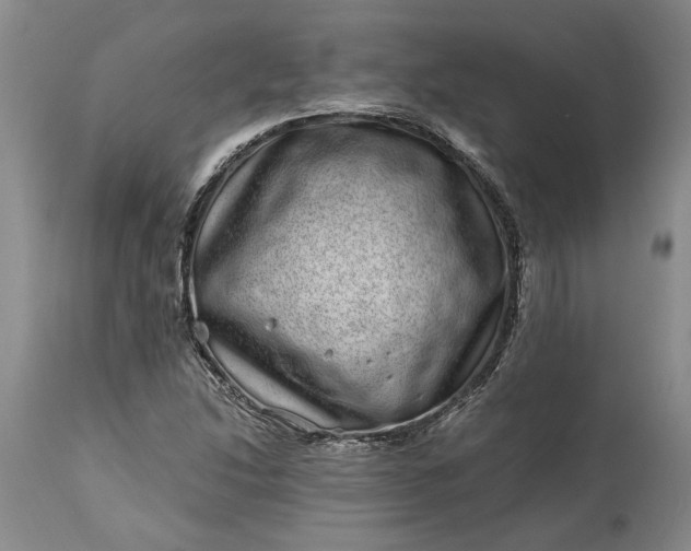 X0000114201214200910231336