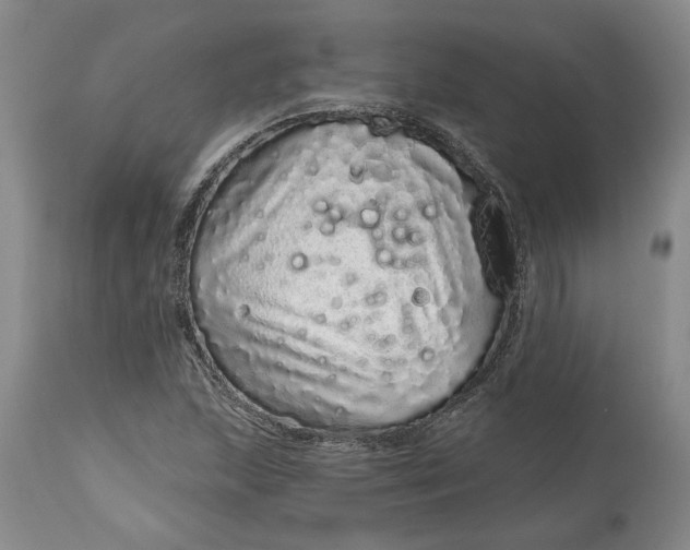 X0000114201215200910231336