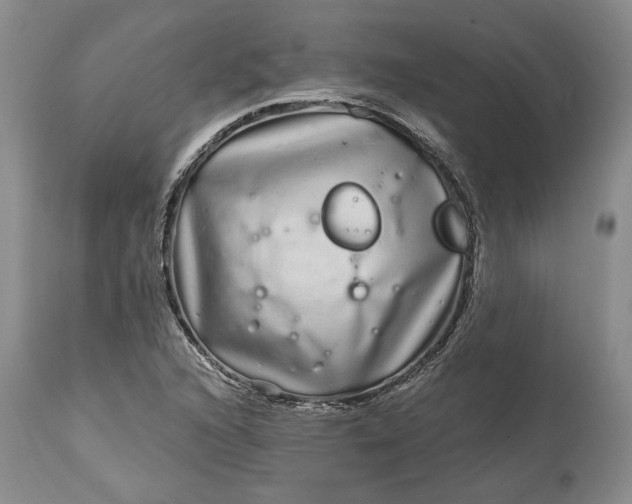 X0000114201216200910231336