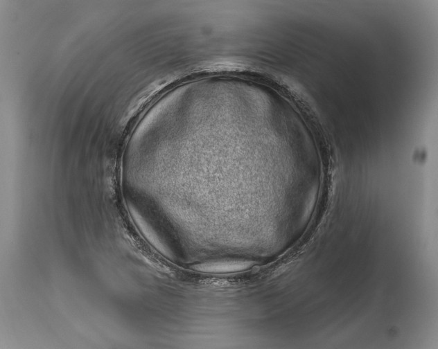 X0000114201217200910231336