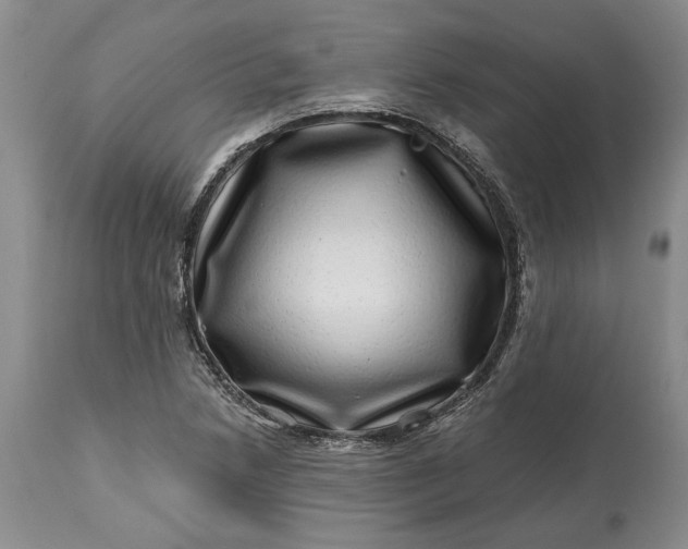 X0000114201218200910231336