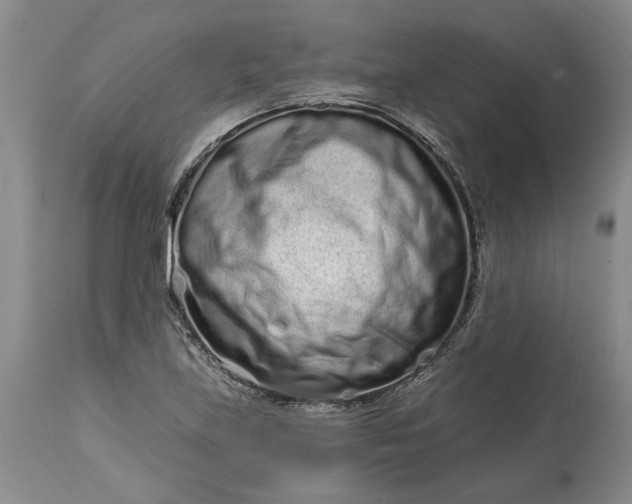 X0000114201219200910231336