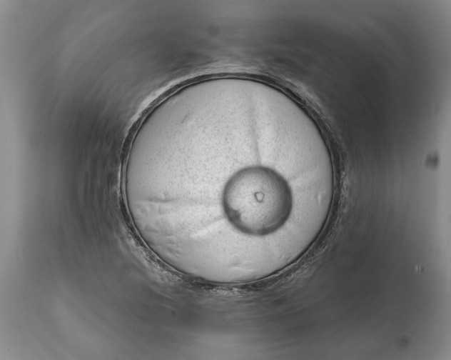 X0000114201220200910231336