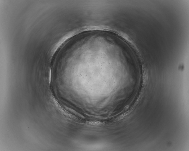 X0000114201221200910231336