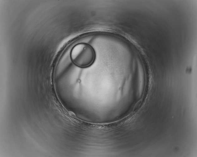 X0000114201222200910231336