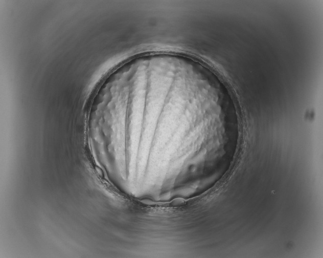 X0000114201223200910231336