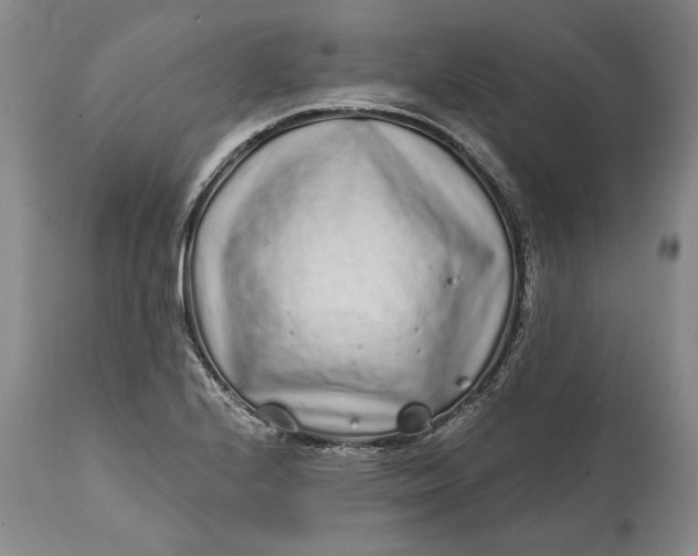 X0000114201224200910231336