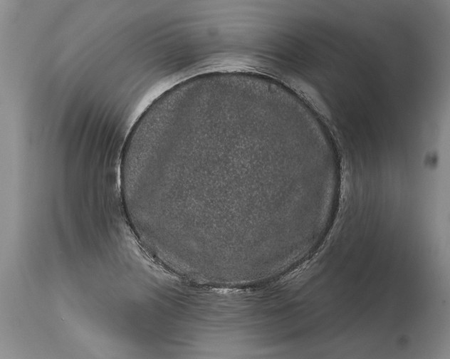 X0000114201226200910231336