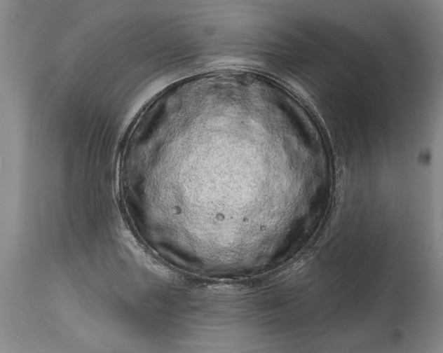 X0000114201227200910231336