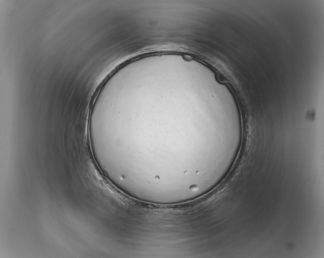 X0000114201228200910231336