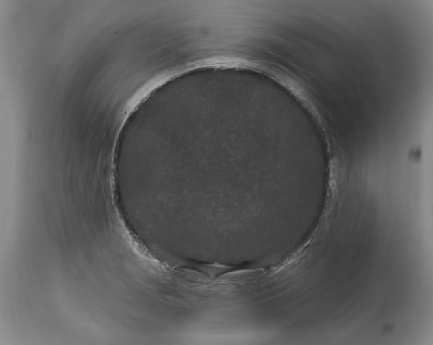 X0000114201229200910231336