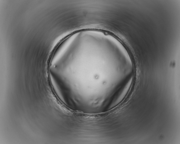 X0000114201230200910231336