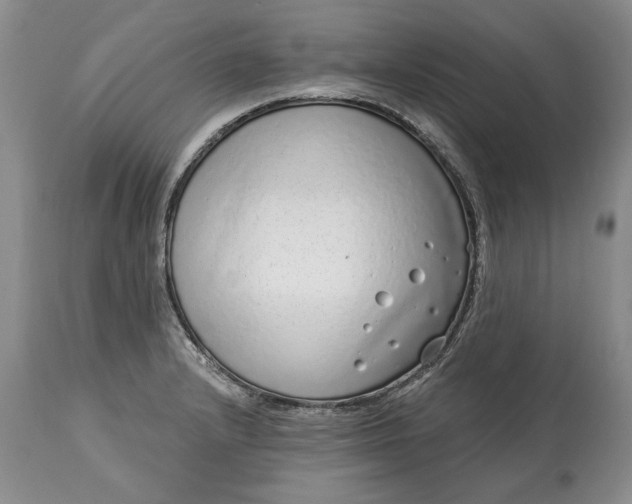 X0000114201232200910231336