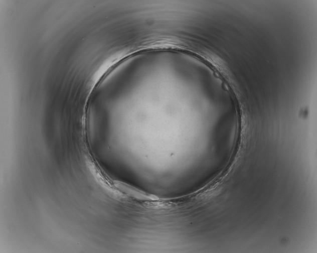 X0000114201234200910231336