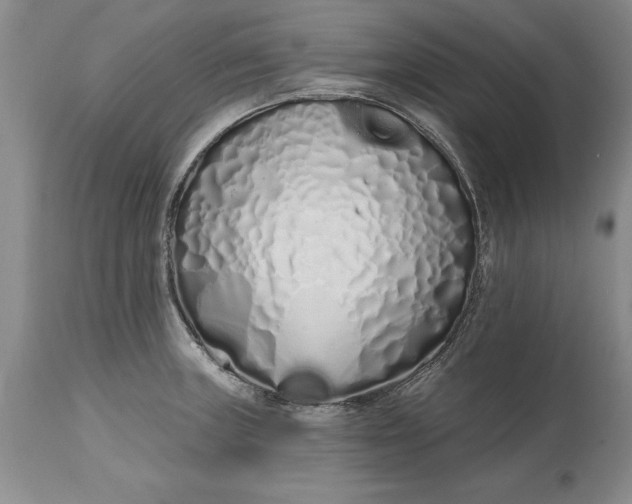 X0000114201235200910231336