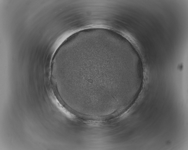 X0000114201236200910231336