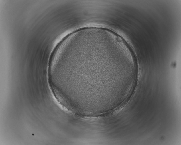 X0000114201237200910231336