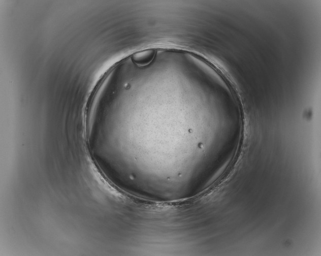 X0000114201238200910231336