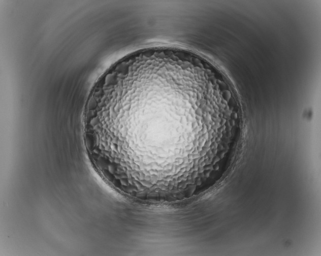 X0000114201239200910231336