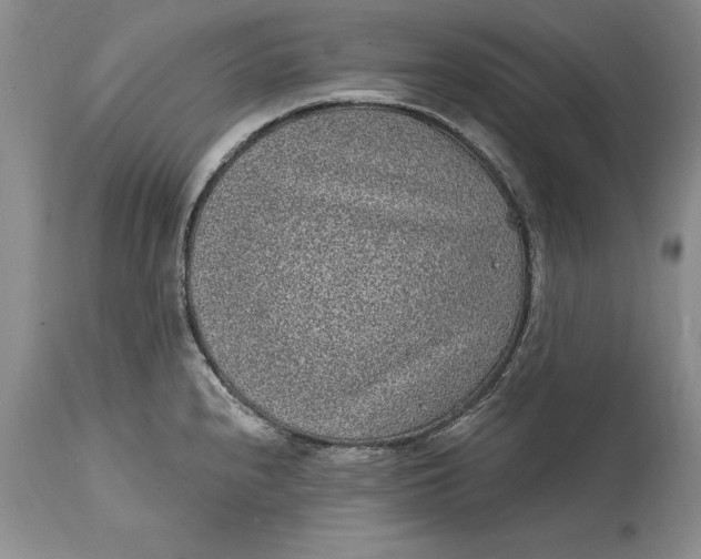 X0000114201240200910231336