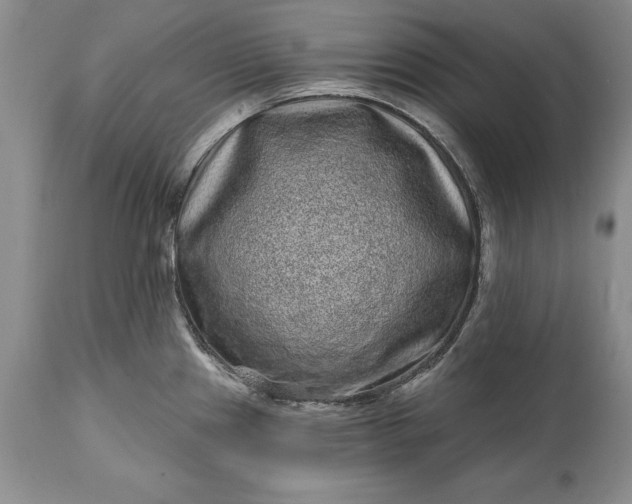 X0000114201241200910231336