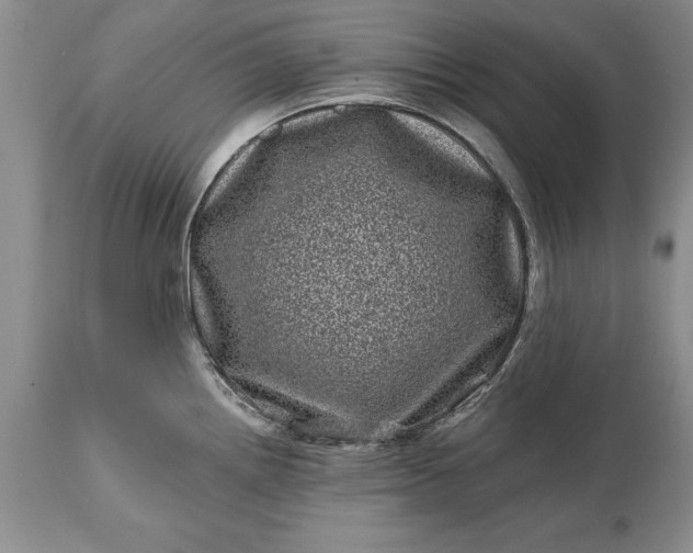 X0000114201242200910231336