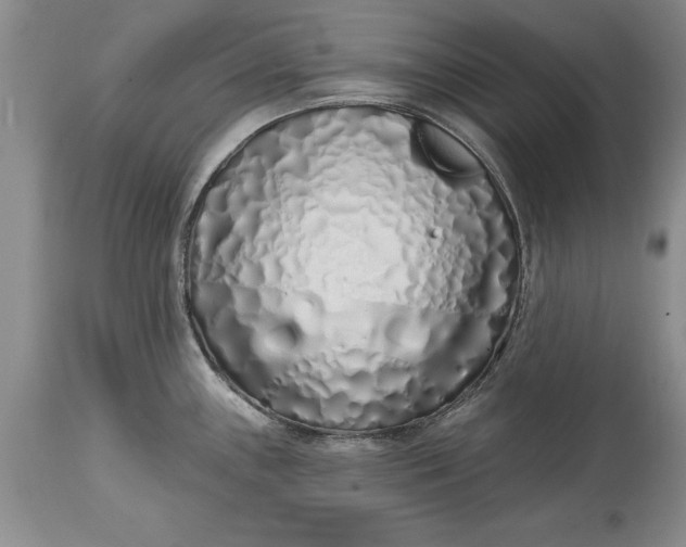 X0000114201243200910231336