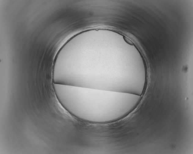 X0000114201244200910231336