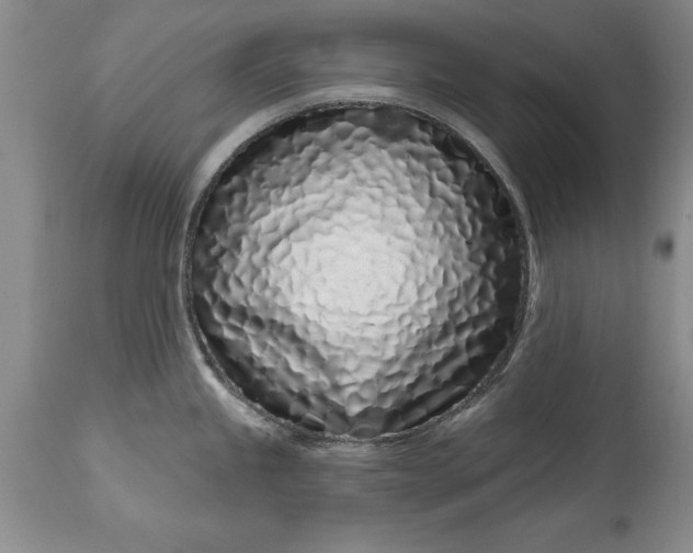 X0000114201245200910231336