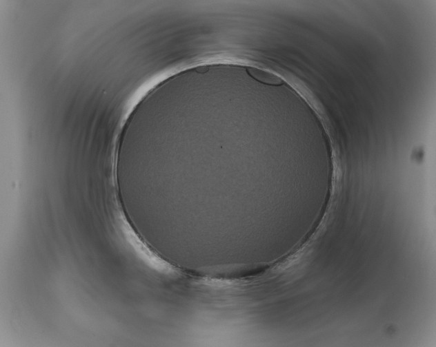 X0000114201246200910231336