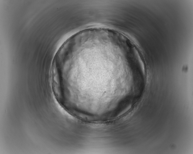 X0000114201247200910231336