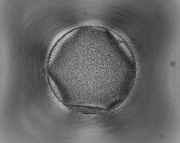 X0000114201248200910231336